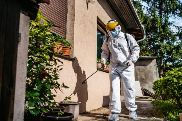 Best Rat Extermination Near Me  in Shpee Neck, MA