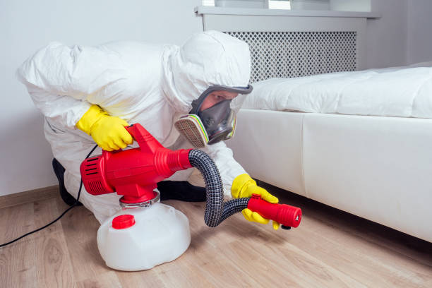 Best Pest Control Near Me in Mashpee Neck, MA