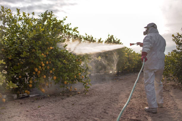 Wildlife Control Services in Mashpee Neck, MA