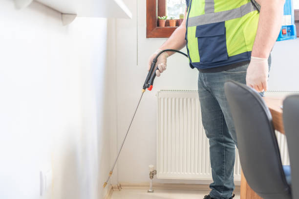 Best Termite Control Services  in Shpee Neck, MA