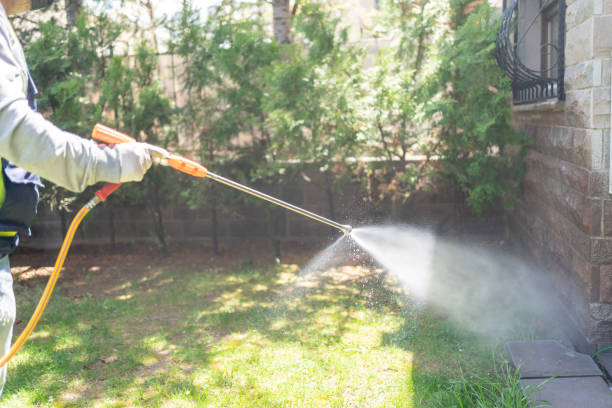 Professional Pest Control in Mashpee Neck, MA
